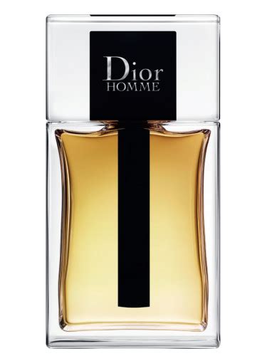 dior homme biography|christian Dior Homme 2020.